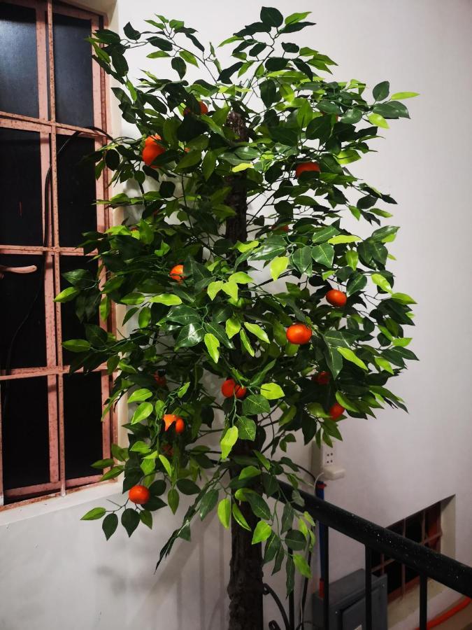 Estrelle Orange House - Backpackers Hub Daire Puerto Princesa Dış mekan fotoğraf